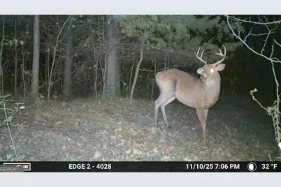 3644-3792 Fortune Hole Road, Hamilton, GA 31811 - Photo 40