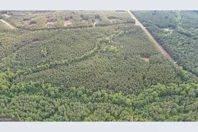 3644-3792 Fortune Hole Road, Hamilton, GA 31811 - Photo 26