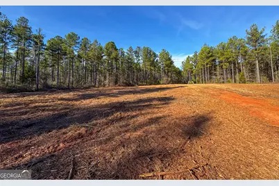 3644-3792 Fortune Hole Road, Hamilton, GA 31811 - Photo 2