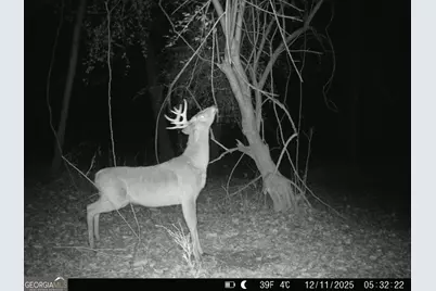 3644-3792 Fortune Hole Road, Hamilton, GA 31811 - Photo 38