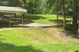 1845 Smokey Rd, Newnan, GA 30263 - Photo 18