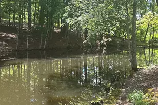 1845 Smokey Rd, Newnan, GA 30263 - Photo 22