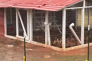 1599 Lower River Rd, Covington, GA 30016 - Photo 24