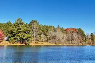 219 Lineman Wy, Tunnel Hill, GA 30755 - Photo 40