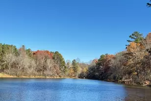 219 Lineman Wy, Tunnel Hill, GA 30755 - Photo 32