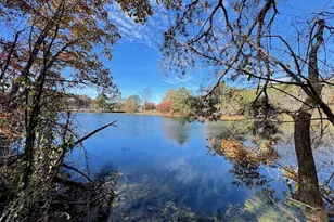 219 Lineman Wy, Tunnel Hill, GA 30755 - Photo 50