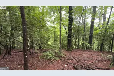 928 Fir Lane #3624, Ellijay, GA 30540 - Photo 12