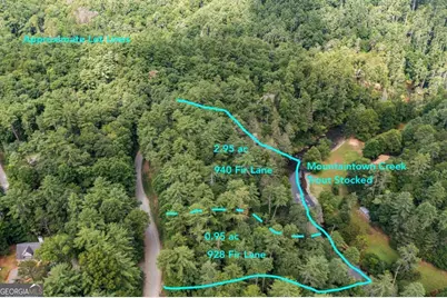 928 Fir Lane #3624, Ellijay, GA 30540 - Photo 2