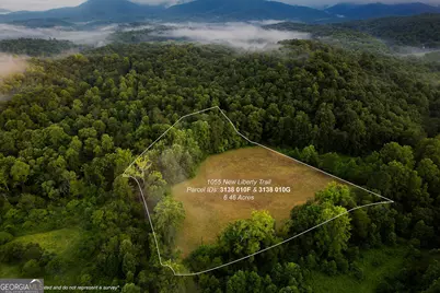 1055 New Liberty Trail, Ellijay, GA 30536 - Photo 8