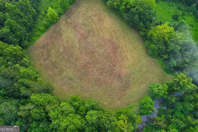 1055 New Liberty Trail, Ellijay, GA 30536 - Photo 2