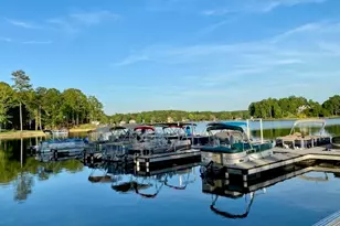 Lot 146 Old Still Run, Newnan, GA 30263 - Photo 14