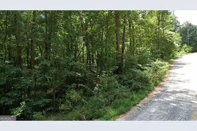 Lot #159 Jumper Drive, Ellijay, GA 30540 - Photo 10
