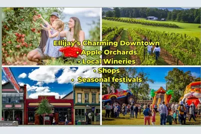 Lot #159 Jumper Drive, Ellijay, GA 30540 - Photo 28