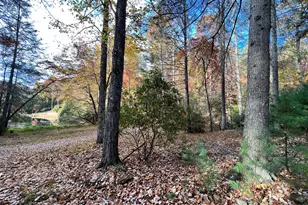 23 Briar Cove Ln, Morganton, GA 30560 - Photo 22