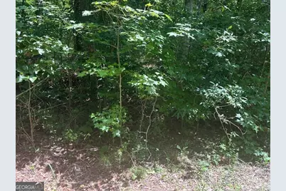 57 Dogwood Trail, Martin, GA 30557 - Photo 2