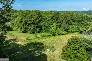 157 Edwards Rd, Fairmount, GA 30139 - Photo 66