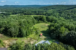 157 Edwards Rd, Fairmount, GA 30139 - Photo 58