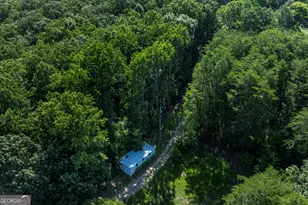 157 Edwards Rd, Fairmount, GA 30139 - Photo 68