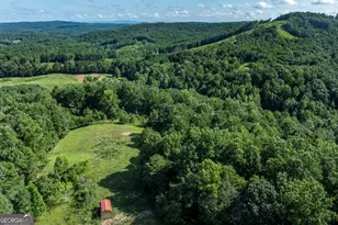 157 Edwards Rd, Fairmount, GA 30139 - Photo 62