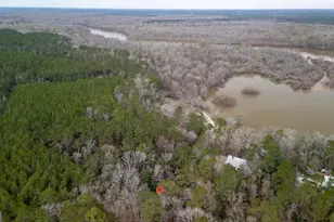 1380 Landing, Baxley, GA 31513 - Photo 36