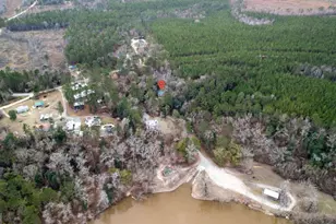 1380 Landing, Baxley, GA 31513 - Photo 32