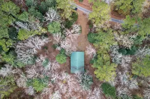 1380 Landing, Baxley, GA 31513 - Photo 34