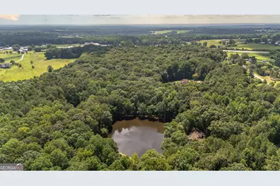 191 Tumlin Creek Road, Roopville, GA 30170 - Photo 44