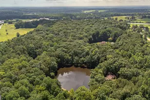191 Tumlin Creek Rd, Roopville, GA 30170 - Photo 44