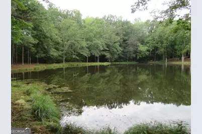 191 Tumlin Creek Road, Roopville, GA 30170 - Photo 56