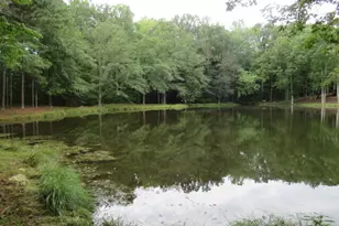 191 Tumlin Creek Rd, Roopville, GA 30170 - Photo 56