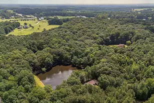 191 Tumlin Creek Rd, Roopville, GA 30170 - Photo 46