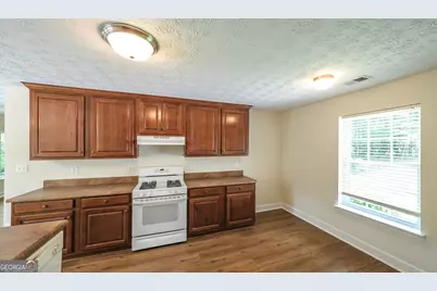 191 Tumlin Creek Road, Roopville, GA 30170 - Photo 8