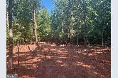 0 Dickson Road, Rutledge, GA 30663 - Photo 6