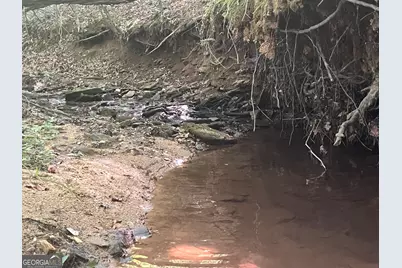 0 Dickson Road, Rutledge, GA 30663 - Photo 18