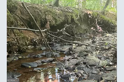 0 Dickson Road, Rutledge, GA 30663 - Photo 10