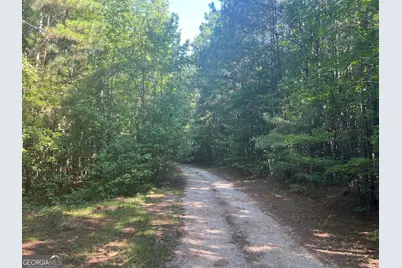0 Dickson Road, Rutledge, GA 30663 - Photo 4
