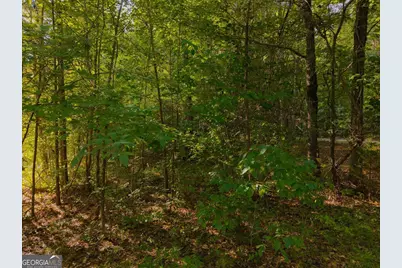 0 Dickson Road, Rutledge, GA 30663 - Photo 36