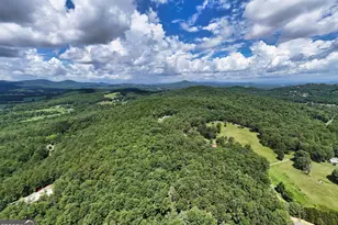 266 E Wright Rd, Blairsville, GA 30512 - Photo 94