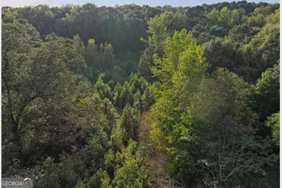 0 Bradfield Drive, Lagrange, GA 30240 - Photo 2