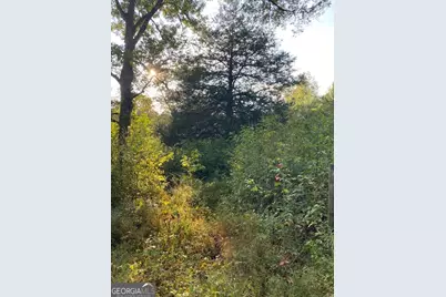 0 Bradfield Drive, Lagrange, GA 30240 - Photo 32