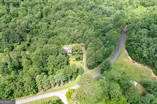 411 Piney Acres Rd, Blue Ridge, GA 30513 - Photo 64