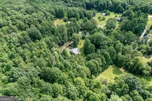 411 Piney Acres Rd, Blue Ridge, GA 30513 - Photo 62