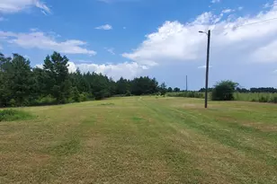 38 W Hwy 46, Lyons, GA 30436 - Photo 4