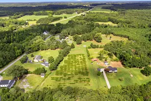 351 E Milner Rd, Zebulon, GA 30295 - Photo 64