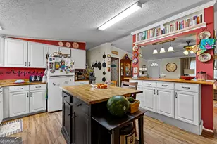 351 E Milner Rd, Zebulon, GA 30295 - Photo 10