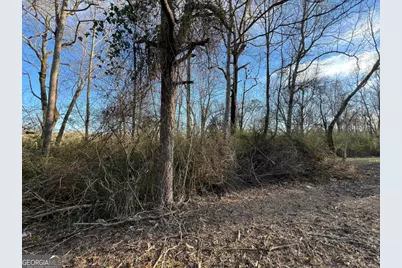 4638 Highway 63, Carnesville, GA 30521 - Photo 44