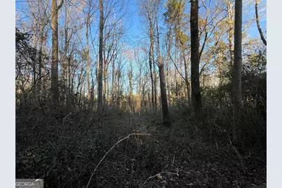 4638 Highway 63, Carnesville, GA 30521 - Photo 46