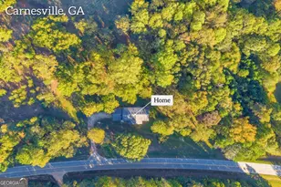 4638 Hwy 63, Carnesville, GA 30521 - Photo 4