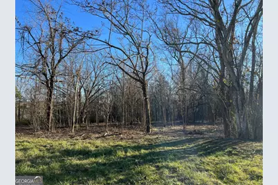 4638 Highway 63, Carnesville, GA 30521 - Photo 42