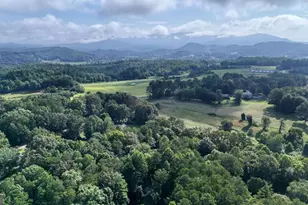 79 Mashie Ln, Murphy, NC 28906 - Photo 76